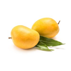 Alphonso Mango